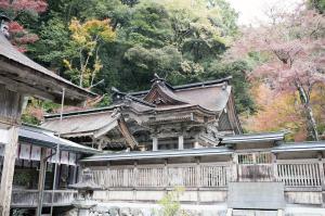 大矢田神社