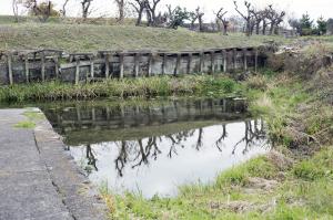 津屋川水系清水池ハリヨ生息地